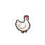 Big Chicken coat