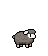 White Nosed coat