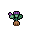 Burdock Root, growth stage 5 of 5