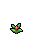 Celosia, growth stage 4 of 5