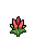 Celosia, growth stage 5 of 5