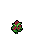 Chrysanthemum, growth stage 4 of 5