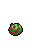 Chrysanthemum, growth stage 5 of 5