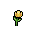 Daffodil, growth stage 4 of 5