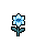 Frost Lily, growth stage 5 of 5