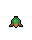 Moon Fruit, growth stage 4 of 5