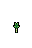 Sugar Cane, growth stage 3 of 5