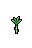 Sugar Cane, growth stage 4 of 5