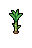 Sugar Cane, growth stage 5 of 5