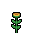 Sunflower, growth stage 4 of 5