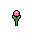 Tulip, growth stage 4 of 5
