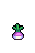 Turnip, growth stage 5 of 5