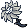 Delicate Flower