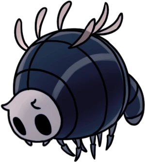 Boofly