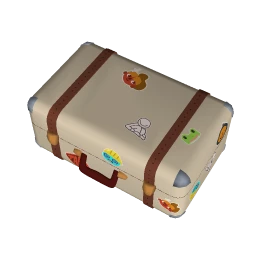 Luggage