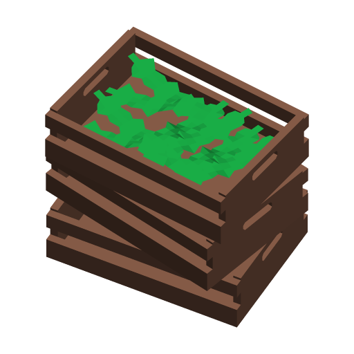 Seaweed