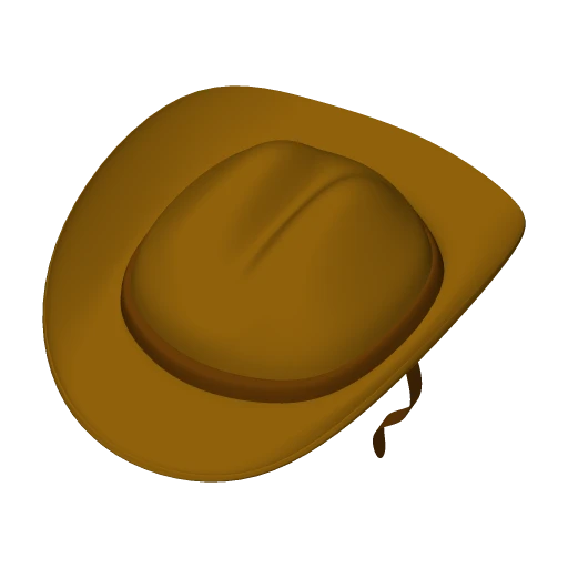 Cowboy Hat