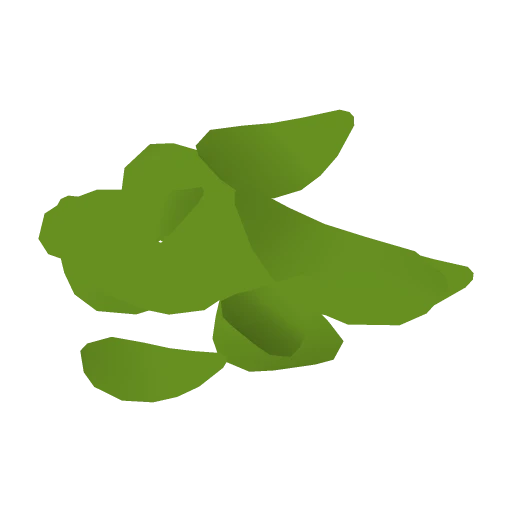 Tacos - Lettuce