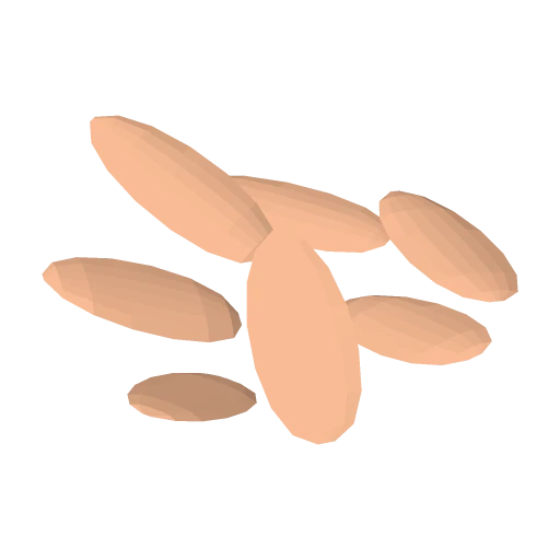 Pumpkin Seeds