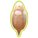 Ancestral Pod