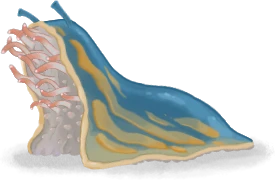 Corpse Slugs