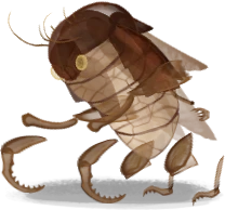 Exoskeletons