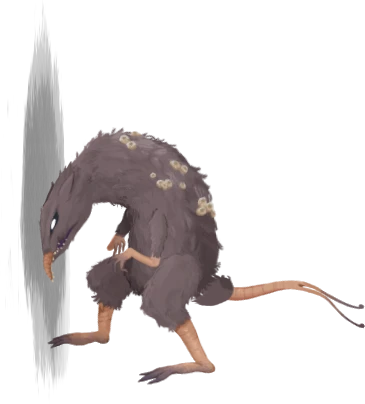 Two-Tailed Rats